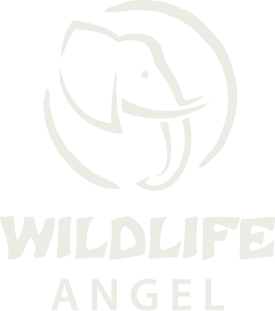 Wildlife Angel