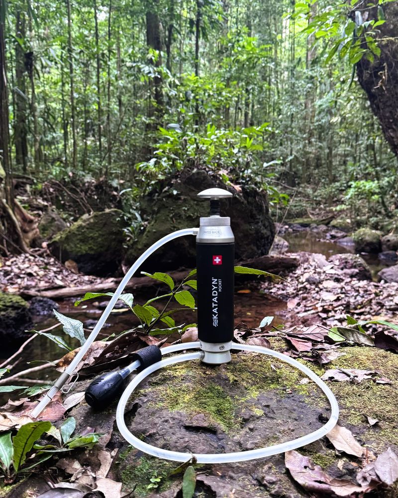 Détail de terrain en forêt