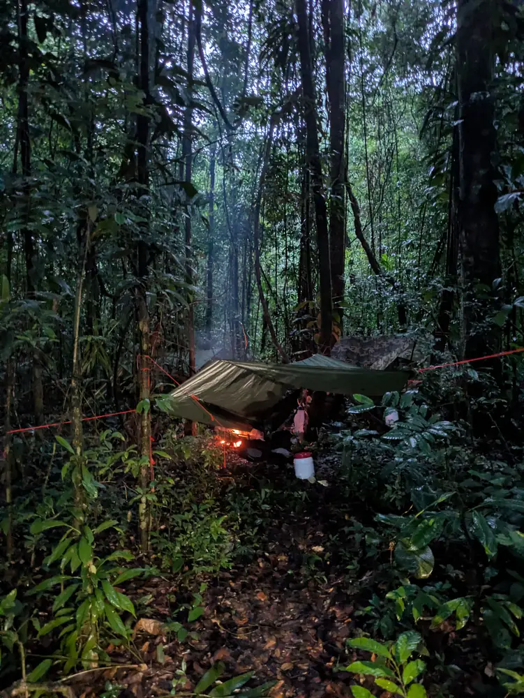 Campement en hamac sous bâche, forêt primaire