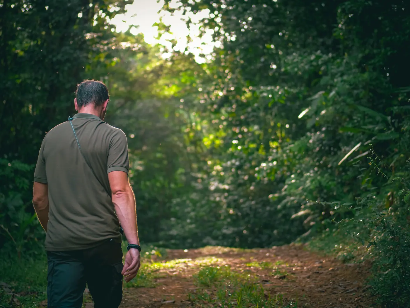 Progression sur un sentier forestier