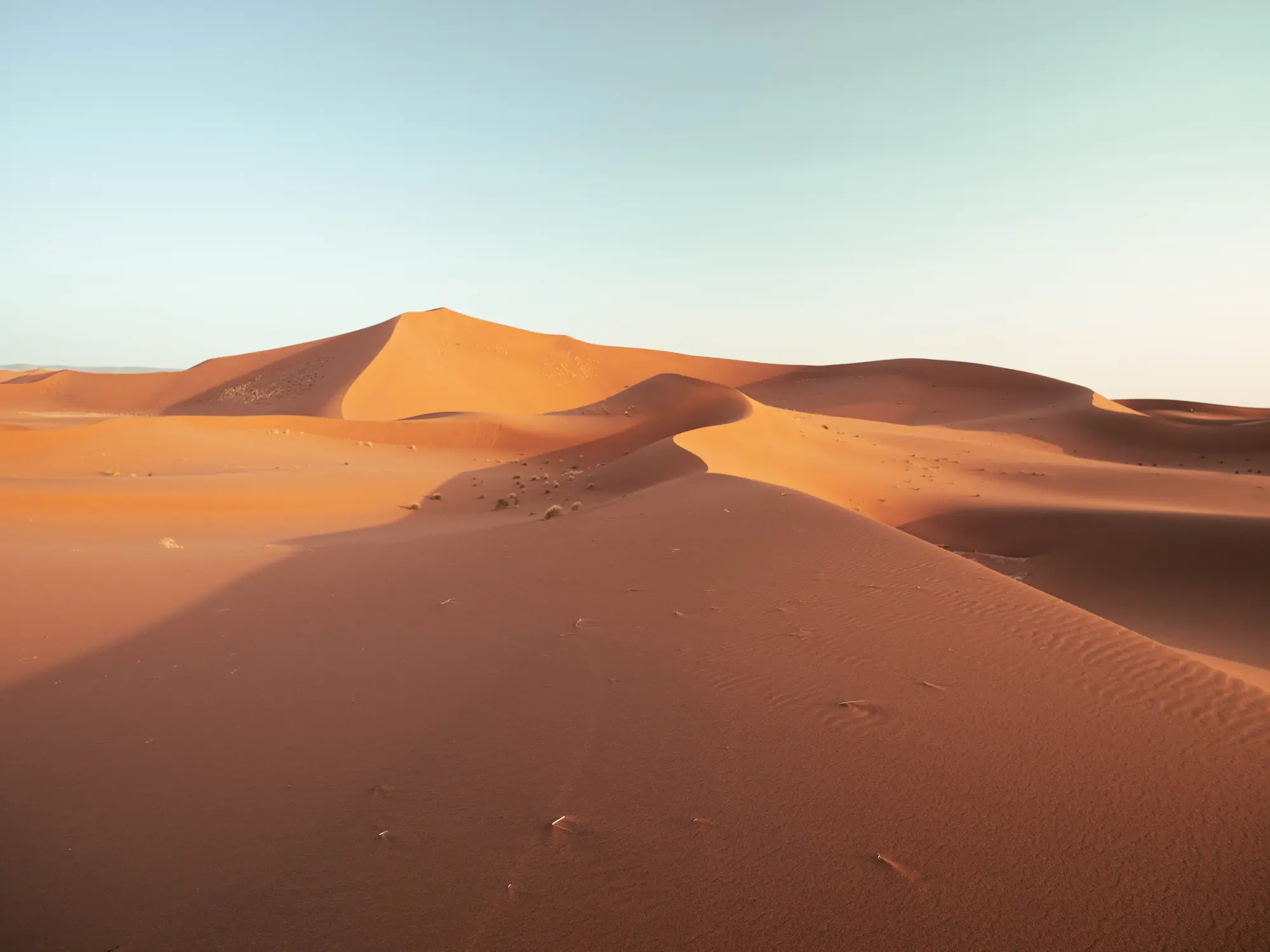 Dunes du Sahara