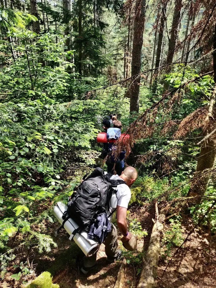 Groupe de participants en marche dans la forêt